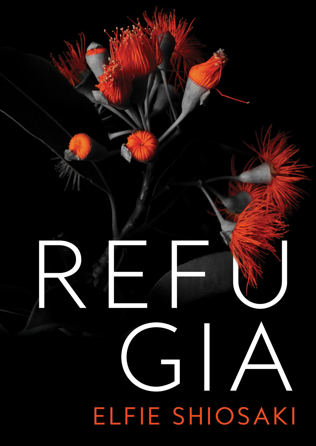 Refugia